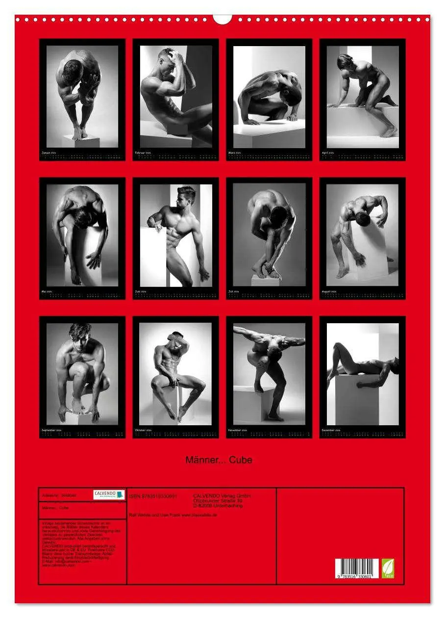 Bild: 9783516330601 | Männer... Cube (Wandkalender 2026 DIN A2 hoch), CALVENDO...