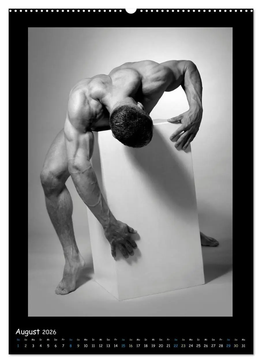 Bild: 9783516330601 | Männer... Cube (Wandkalender 2026 DIN A2 hoch), CALVENDO...