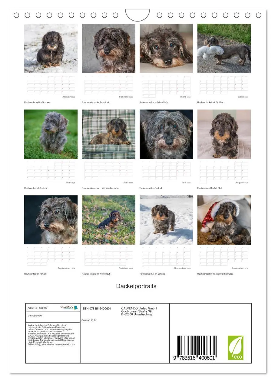 Bild: 9783516400601 | Dackelportraits (Wandkalender 2026 DIN A4 hoch), CALVENDO...