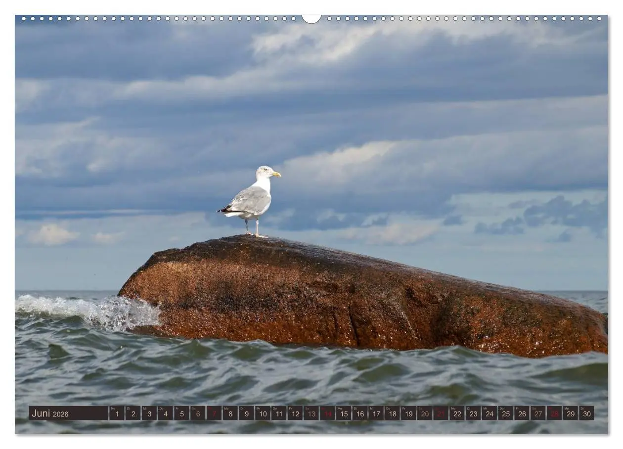 Bild: 9783516180701 | Die perfekte Welle (Wandkalender 2026 DIN A2 quer), CALVENDO...