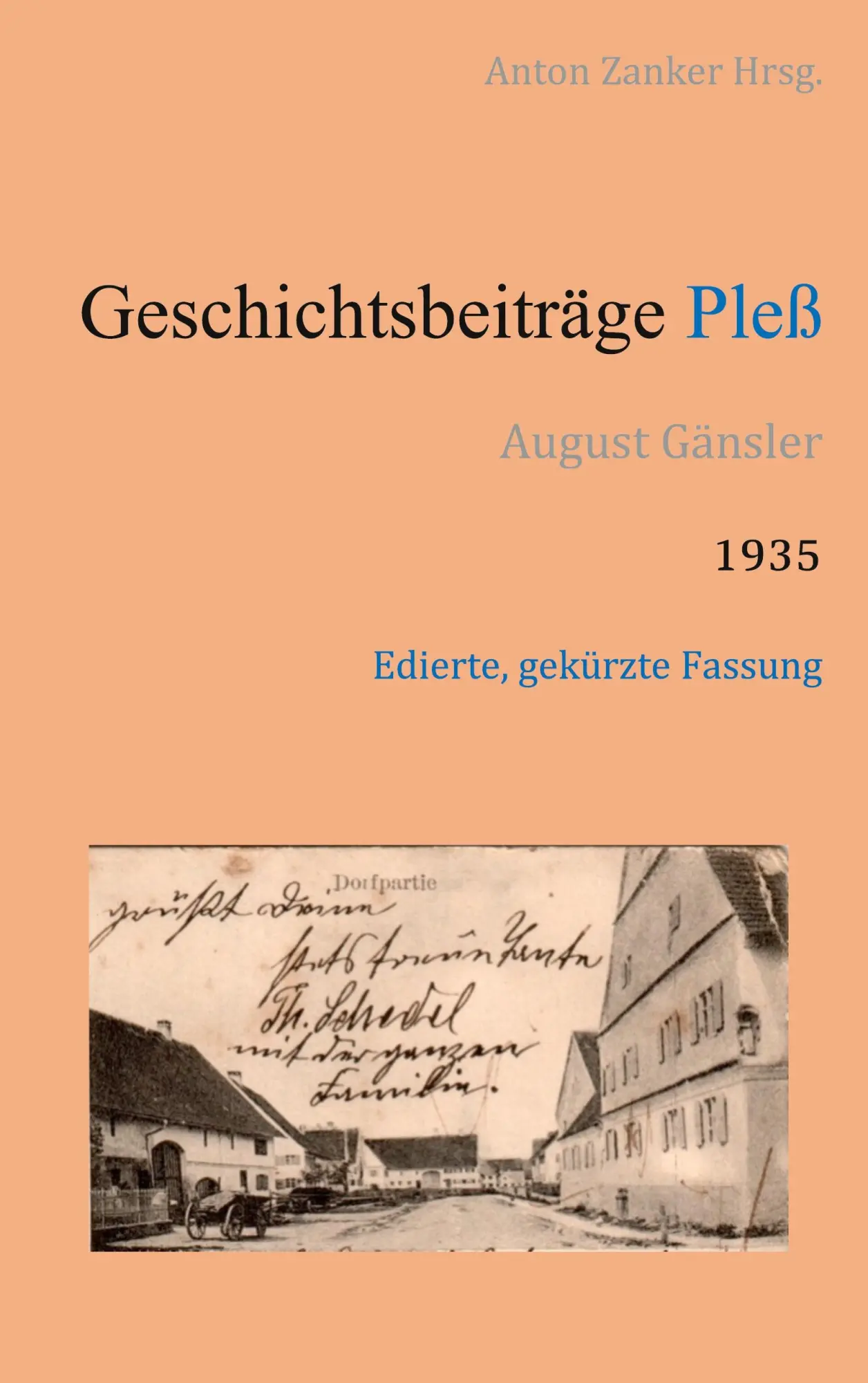 Cover: 9783751950701 | Geschichtsbeiträge Pless | Originaltext [Paperback-Ausgabe] | Gänsler