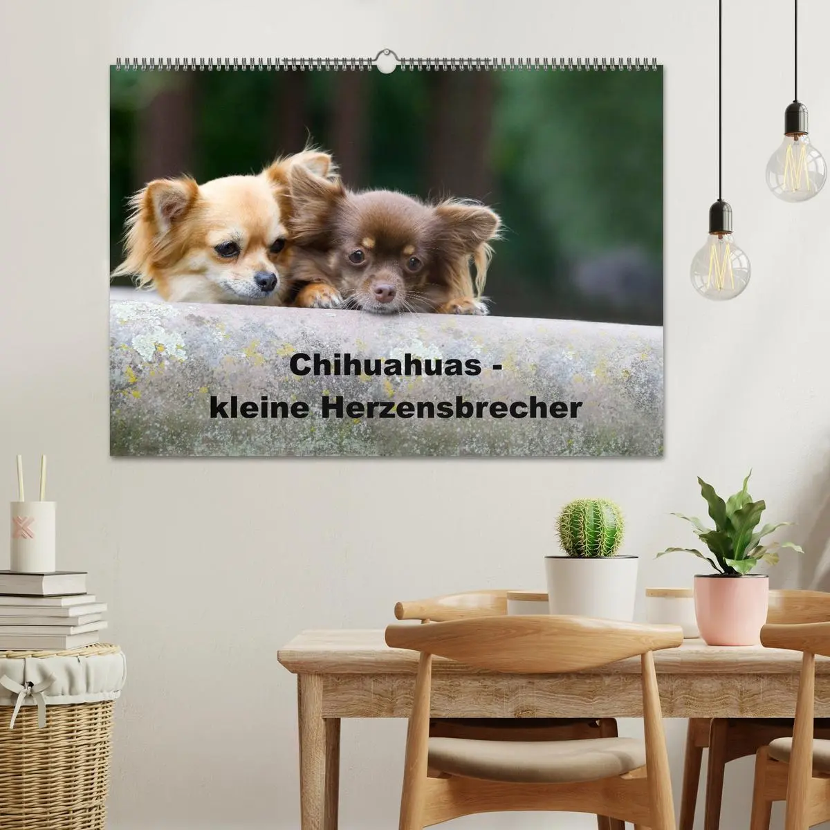 Bild: 9783516170801 | Chihuahuas - kleine Herzensbrecher (Wandkalender 2026 DIN A2 quer),...