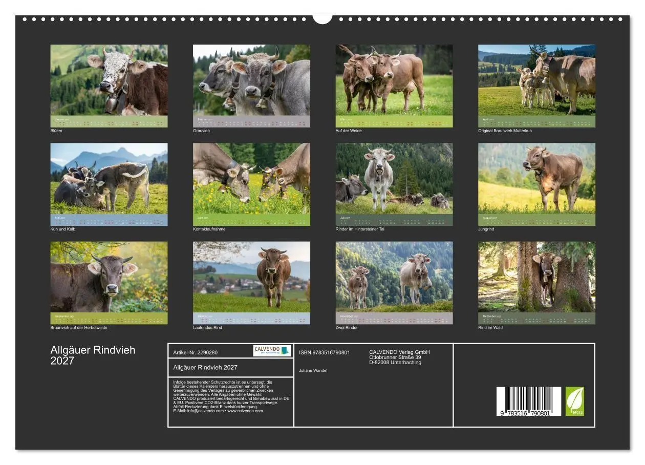 Bild: 9783516790801 | Allgäuer Rindvieh 2027 (hochwertiger Premium Wandkalender 2027 DIN...
