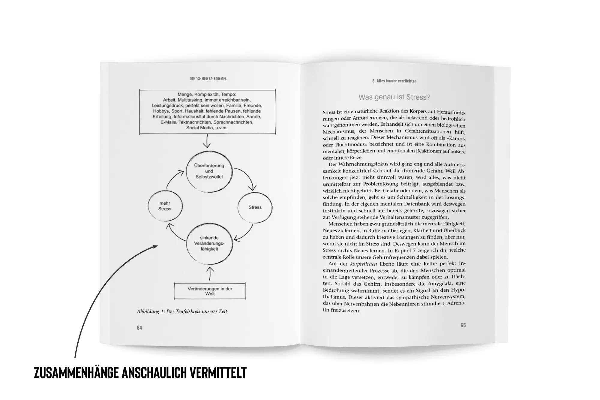 Bild: 9783689360801 | Die 13 Hertz Formel | Amina Meineker | Taschenbuch | 336 S. | Deutsch