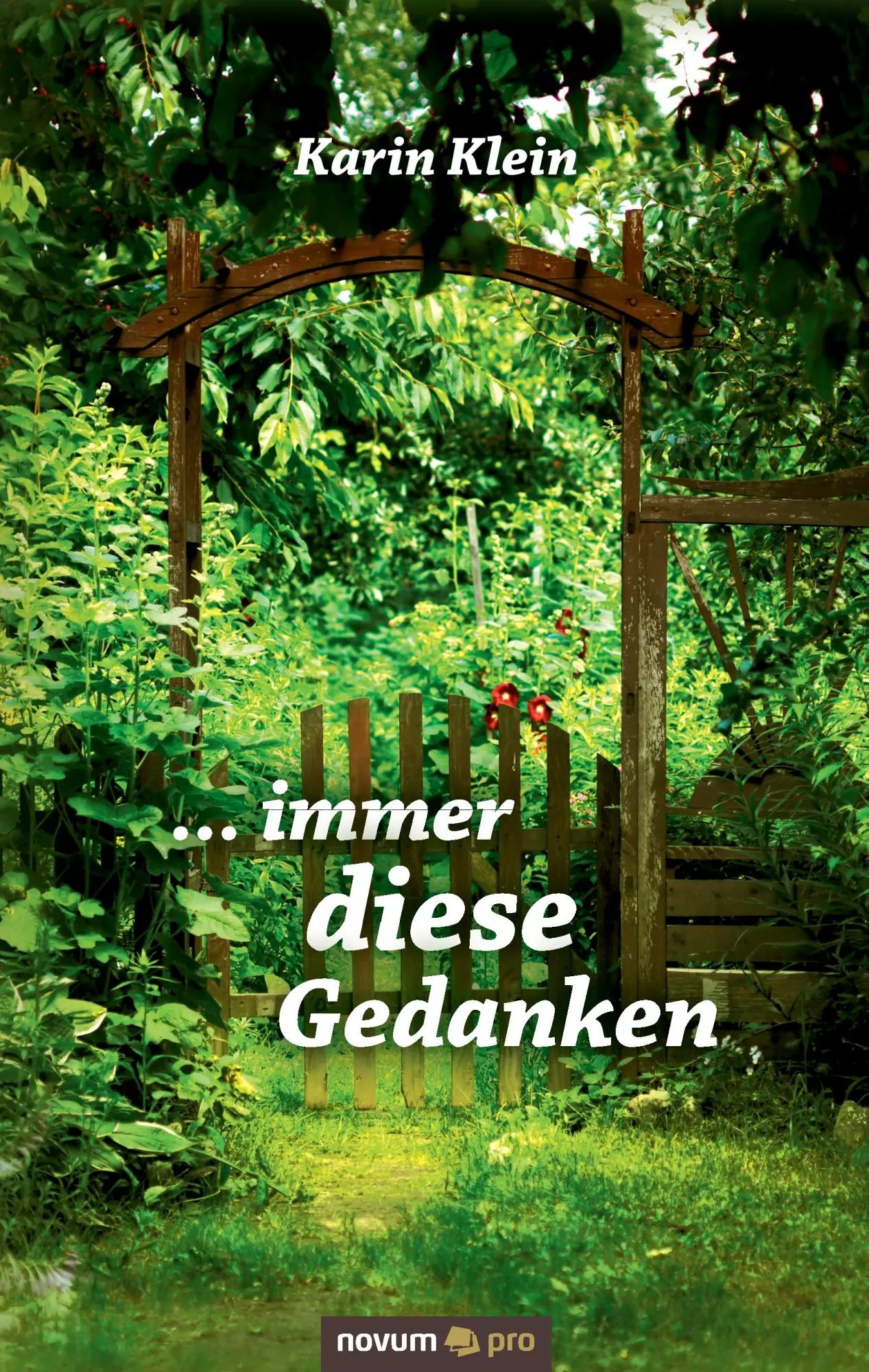 Cover: 9783958400801 | ... immer diese Gedanken | Karin Klein | Buch | 170 S. | Deutsch
