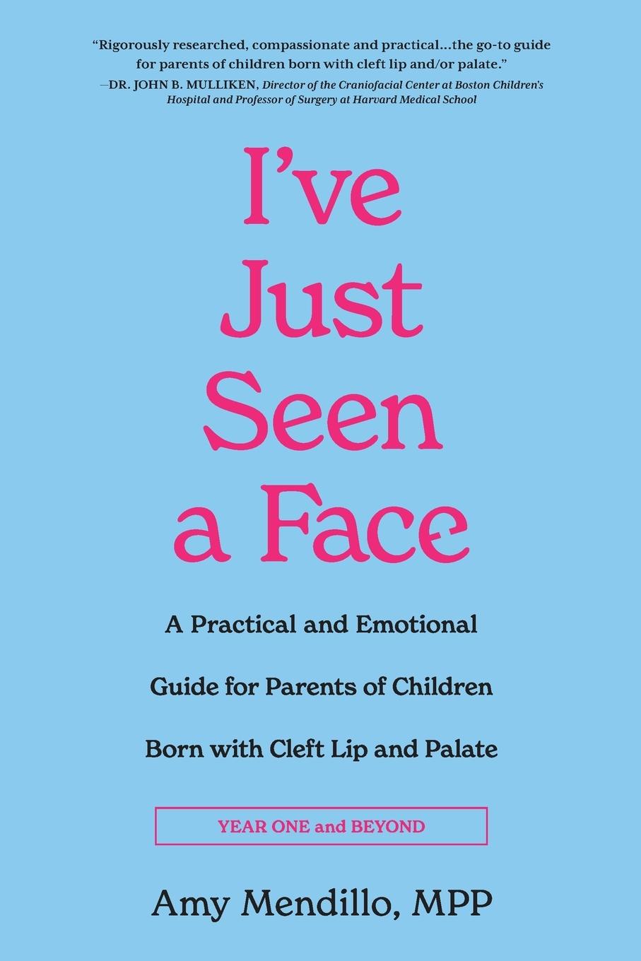 Cover: 9798886790801 | I've Just Seen a Face | Amy Mendillo | Taschenbuch | Englisch | 2023