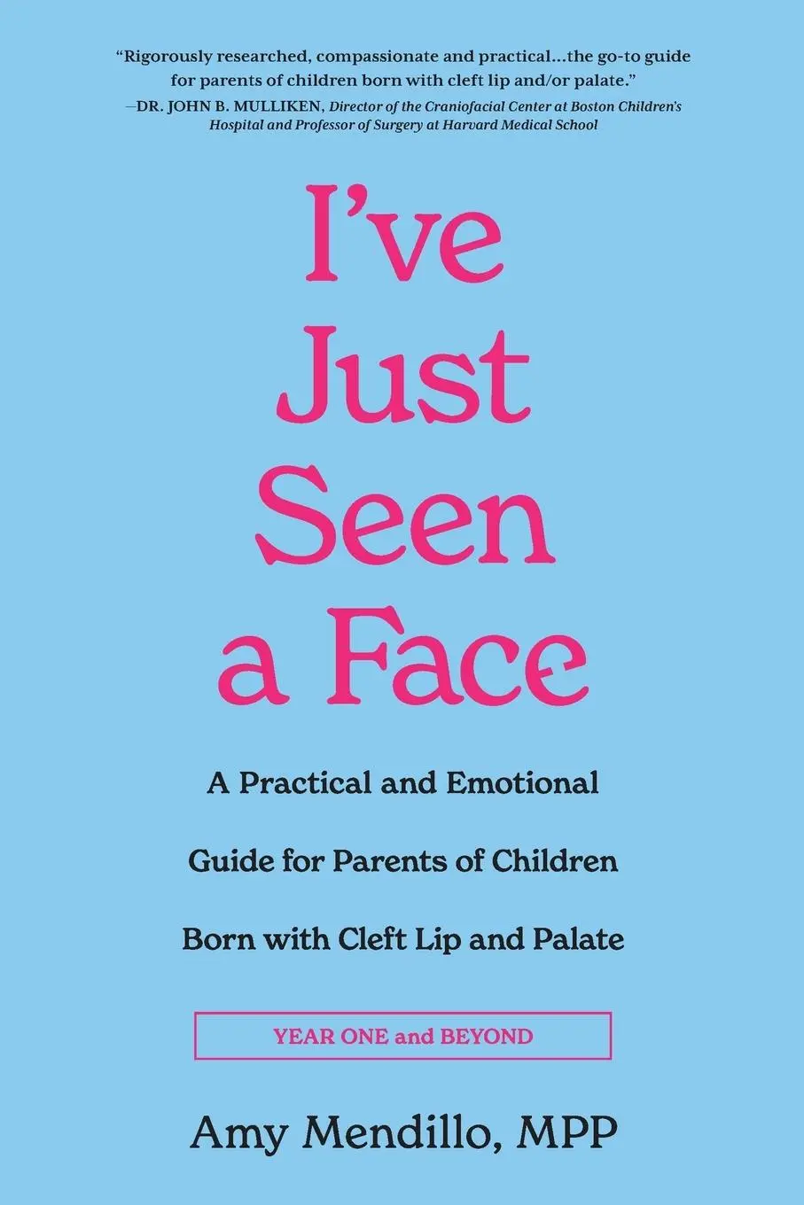 Cover: 9798886790801 | I've Just Seen a Face | Amy Mendillo | Taschenbuch | Englisch | 2023