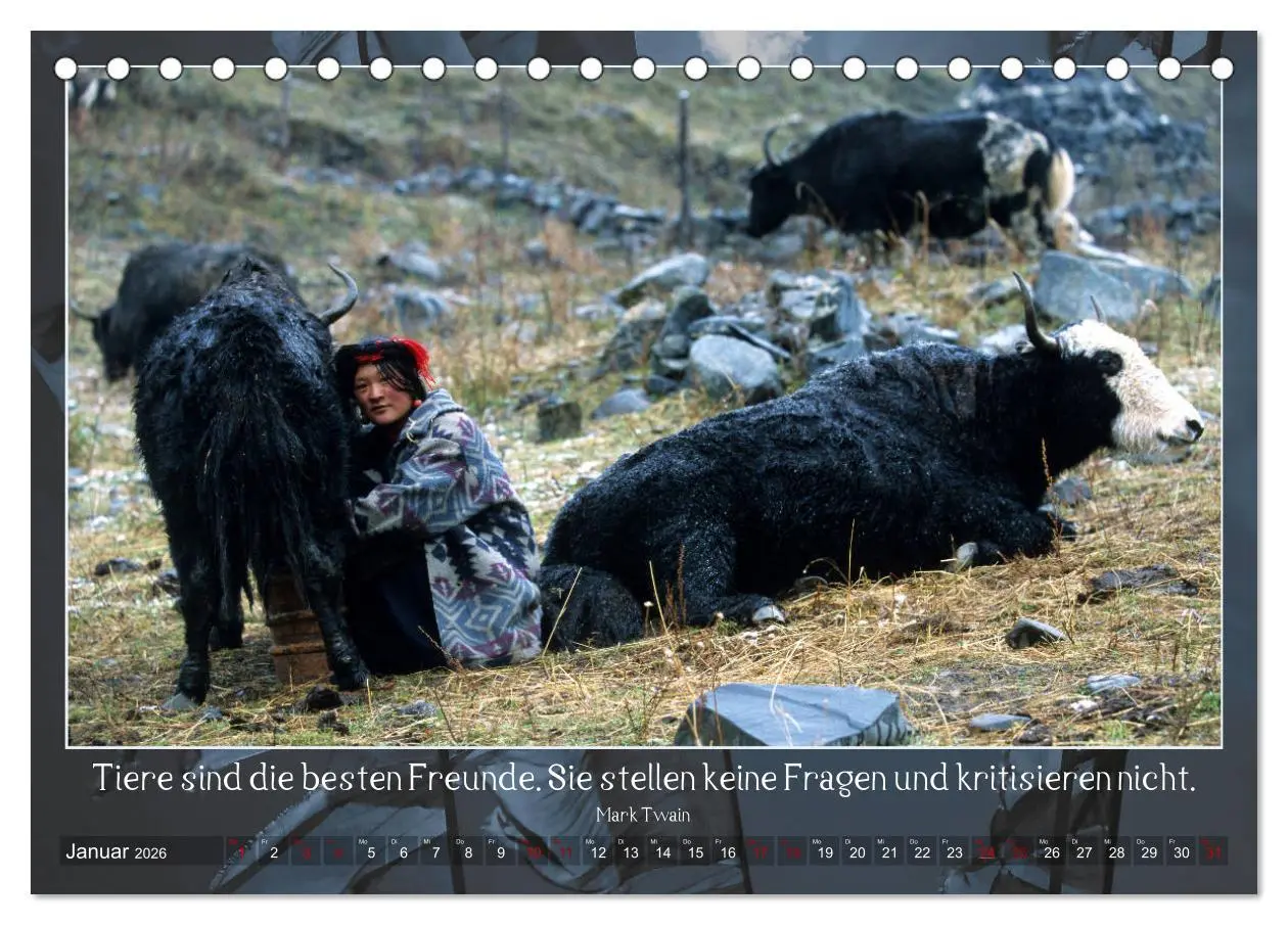 Bild: 9783457830901 | Facettenreiches Tibet (Tischkalender 2026 DIN A5 quer), CALVENDO...