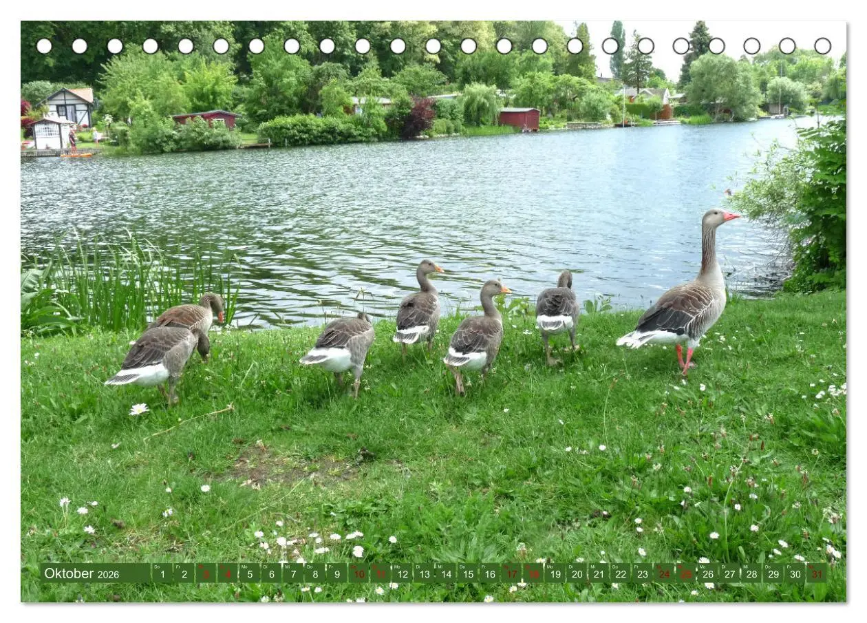 Bild: 9783457581001 | Wunderschöne Mecklenburgische Seenplatte (Tischkalender 2026 DIN A5...