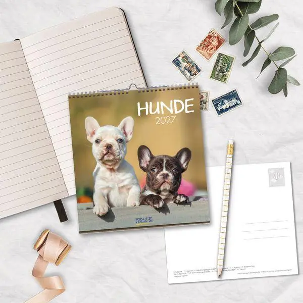 Bild: 9783819301001 | Hunde 2027 | aufstellbarer Postkartenkalender | Verlag Korsch | 13 S.