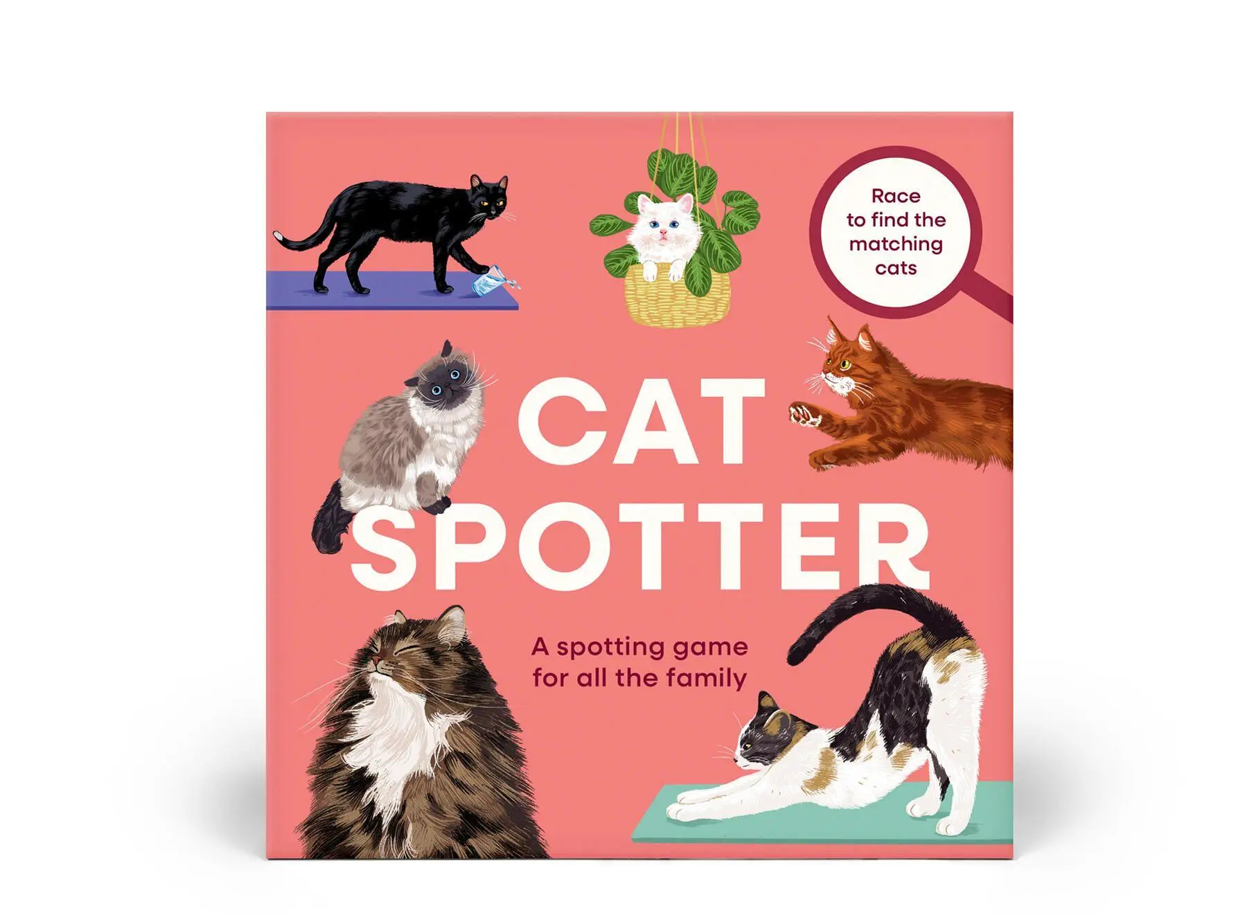 Cover: 9781805701101 | Cat Spotter | Spiel | Englisch | 2026 | Quarto | EAN 9781805701101