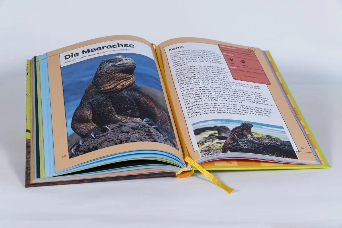 Bild: 9783417281101 | Tierisch gute Momente mit Gott | Annette Whipple | Buch | 240 S.