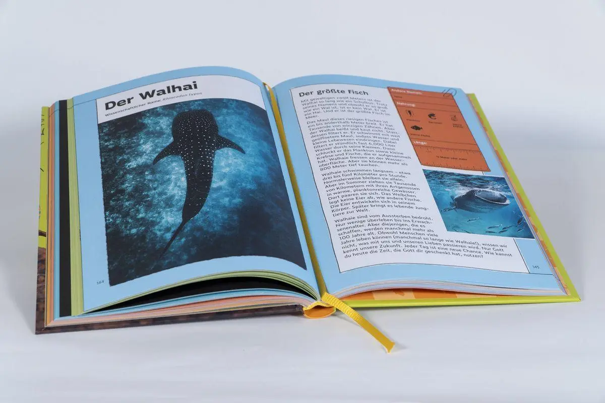 Bild: 9783417281101 | Tierisch gute Momente mit Gott | Annette Whipple | Buch | 240 S.