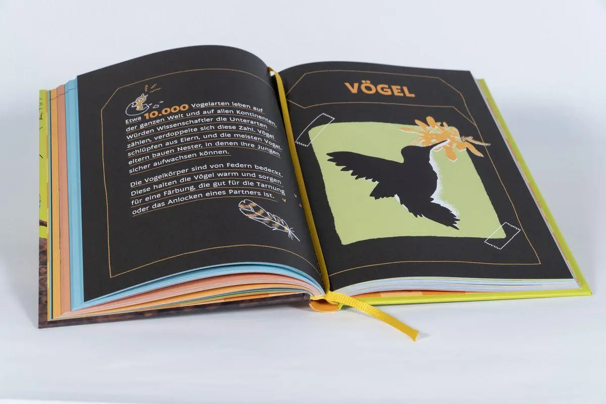 Bild: 9783417281101 | Tierisch gute Momente mit Gott | Annette Whipple | Buch | 240 S.