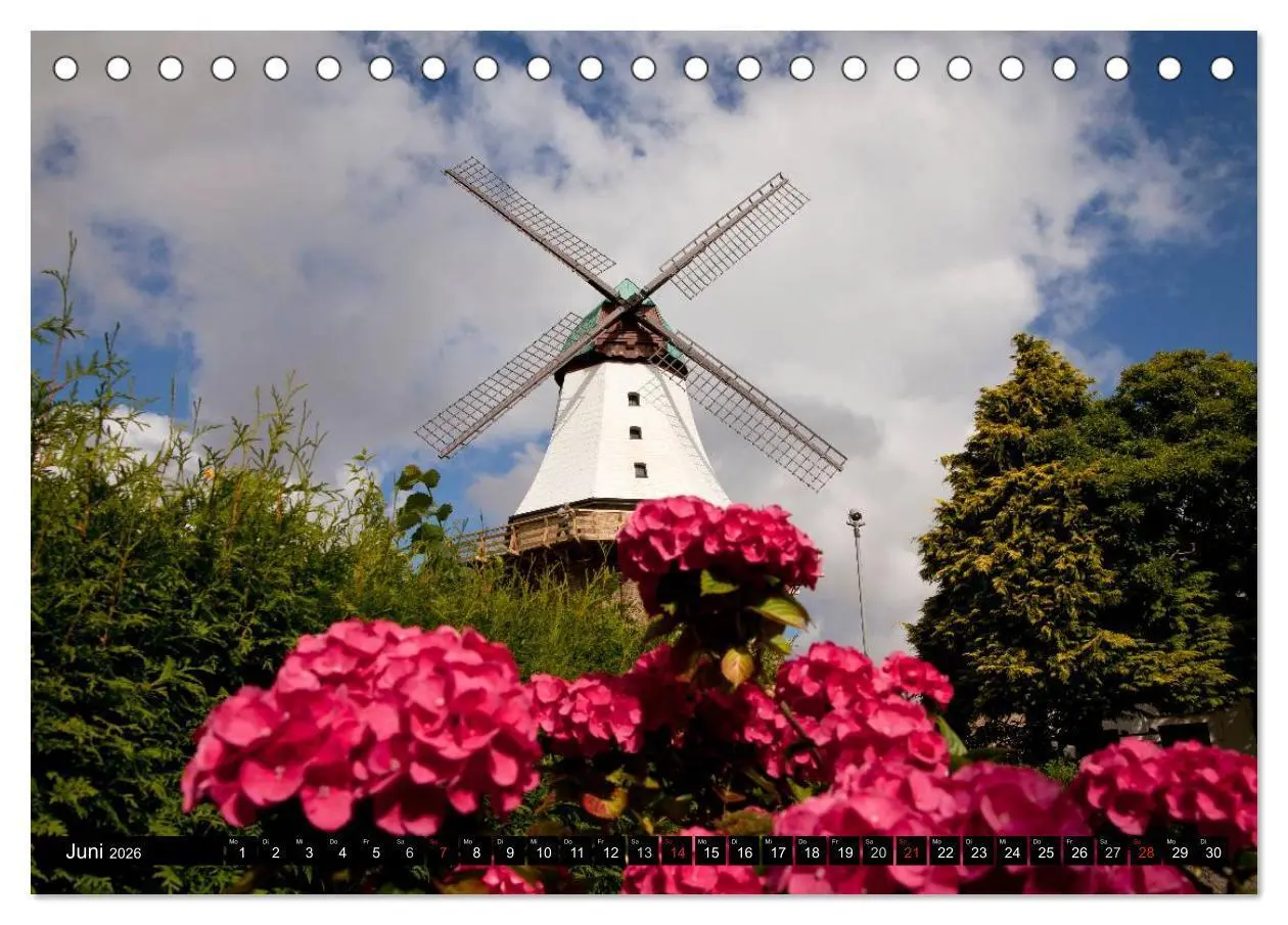 Bild: 9783516041101 | Schleswig-Holstein (Tischkalender 2026 DIN A5 quer), CALVENDO...