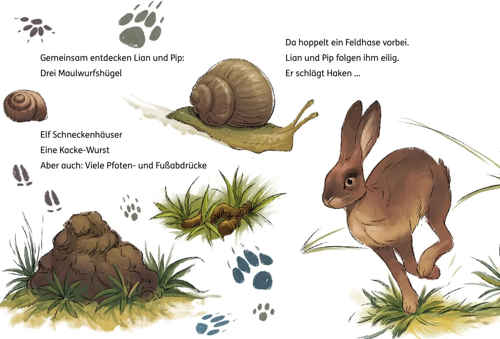 Bild: 9783551691101 | Lian, die Tierdetektivin 2: Wo ist Blob? | Simone Veenstra | Buch