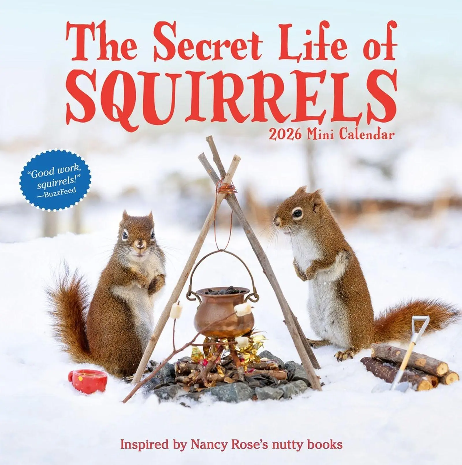 Cover: 9781523531301 | Secret Life of Squirrels Mini Wall Calendar 2026 | Nancy Rose (u. a.)