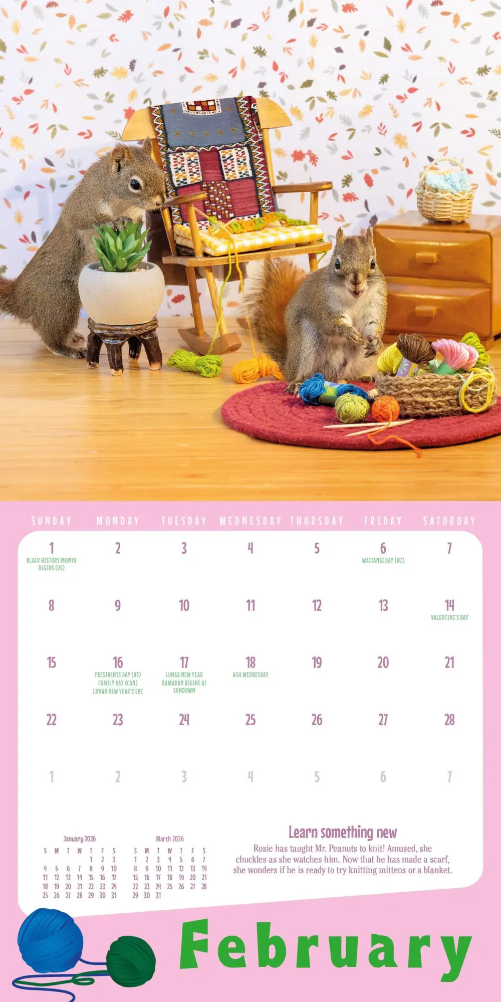 Bild: 9781523531301 | Secret Life of Squirrels Mini Wall Calendar 2026 | Nancy Rose (u. a.)