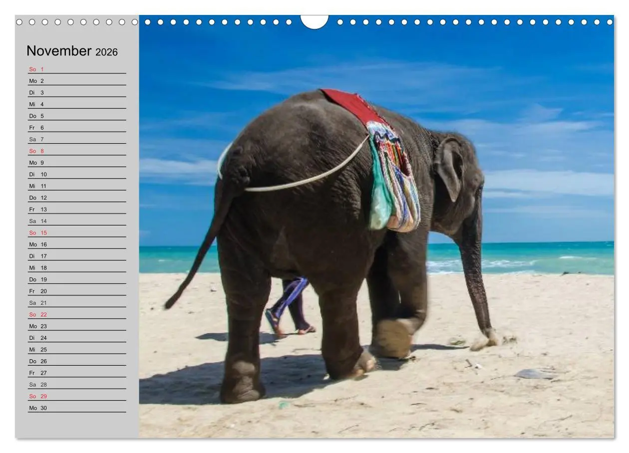 Bild: 9783516011401 | Elefanten. Spaß am Wasser (Wandkalender 2026 DIN A3 quer), CALVENDO...