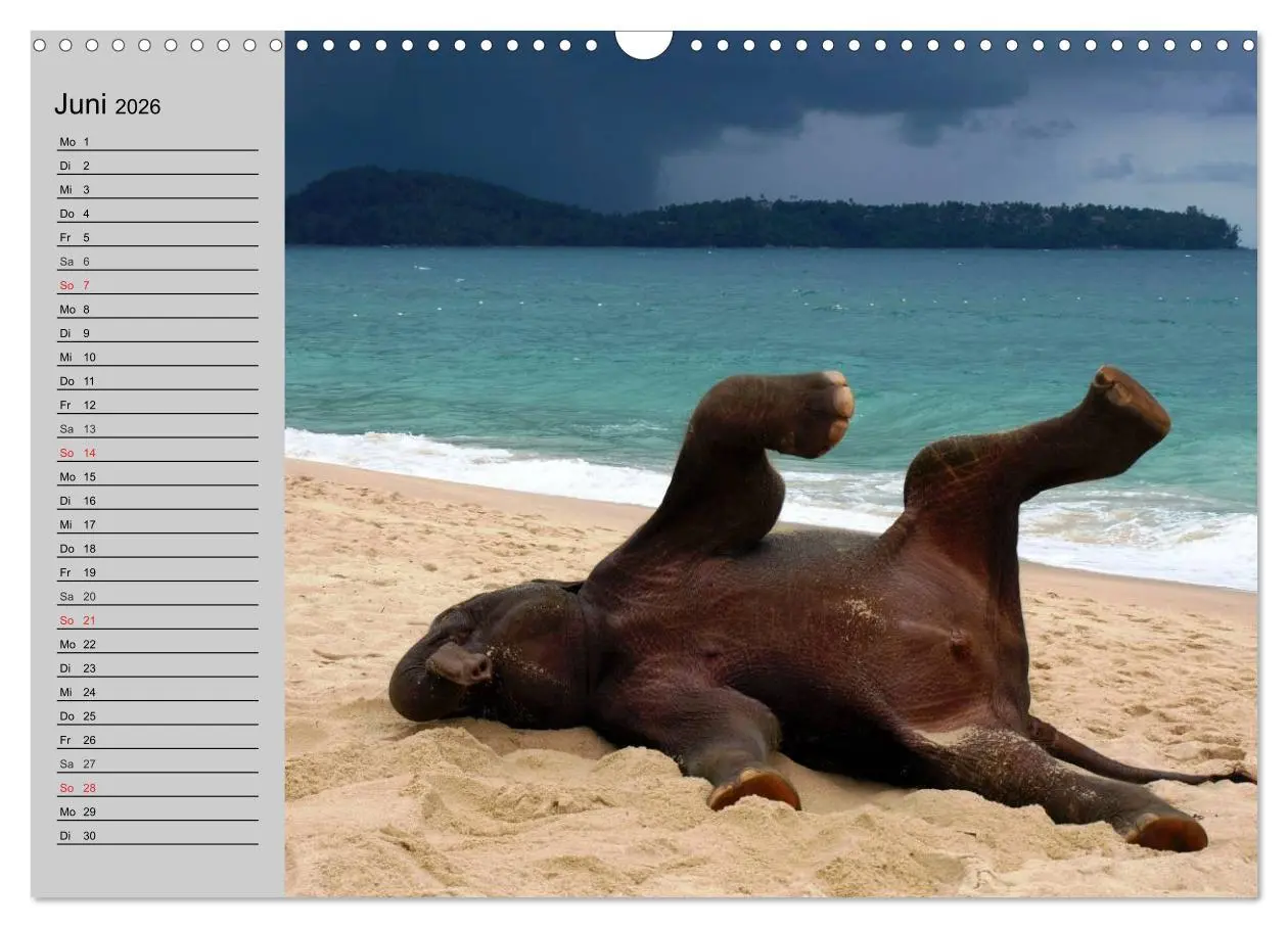 Bild: 9783516011401 | Elefanten. Spaß am Wasser (Wandkalender 2026 DIN A3 quer), CALVENDO...