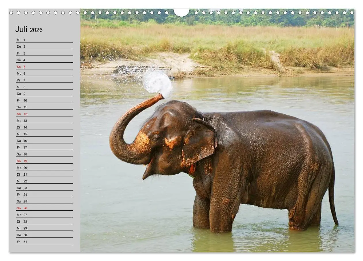 Bild: 9783516011401 | Elefanten. Spaß am Wasser (Wandkalender 2026 DIN A3 quer), CALVENDO...