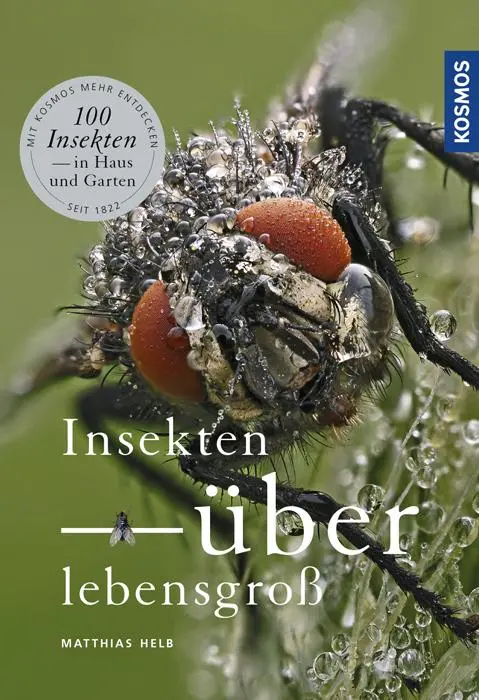Cover: 9783440151501 | Insekten überlebensgroß | Matthias Helb | Buch | 112 S. | Deutsch