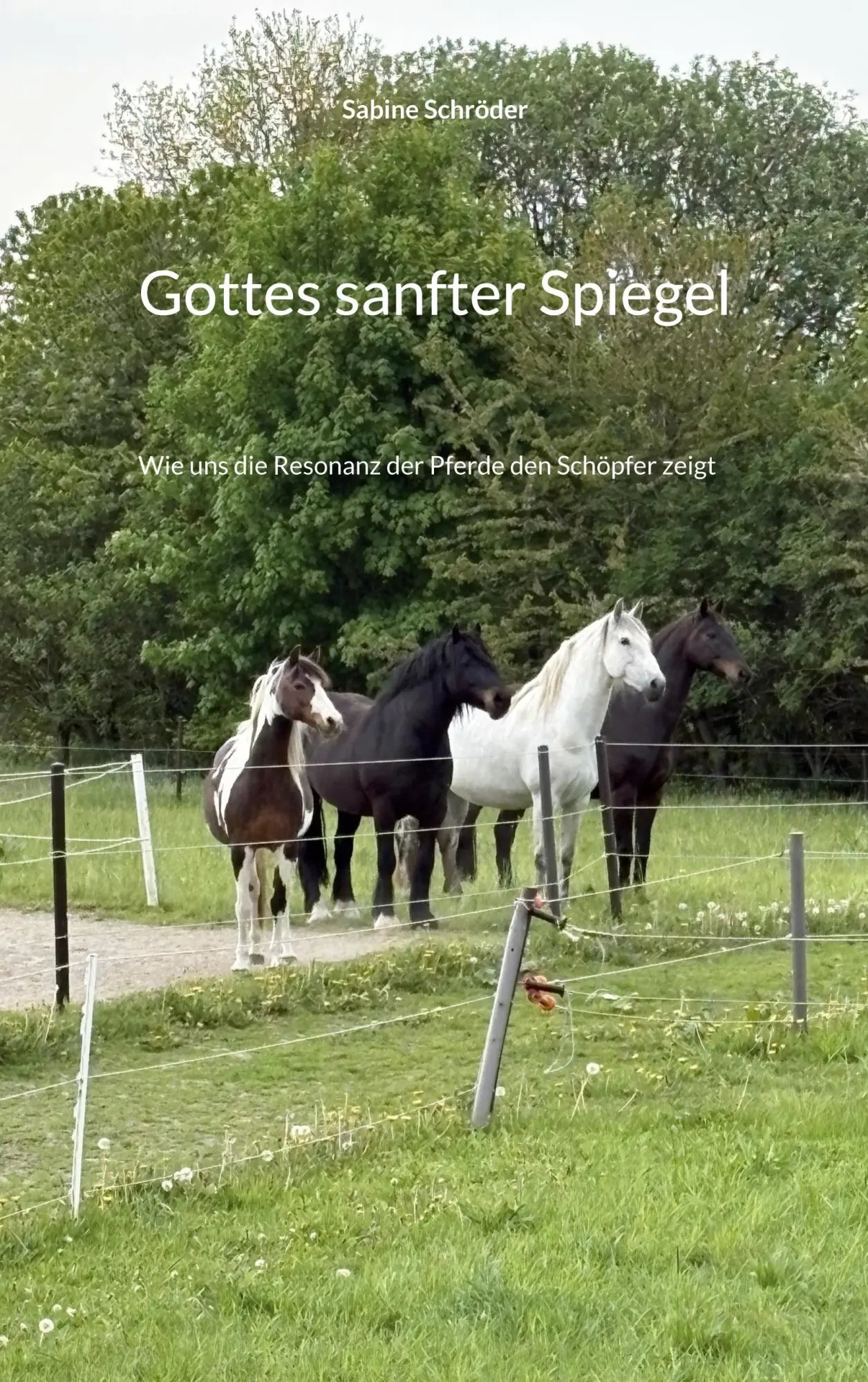 Cover: 9783696361501 | Gottes sanfter Spiegel | Sabine Schröder | Taschenbuch | 80 S. | 2026