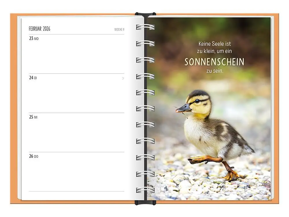 Bild: 9783986361501 | Terminplaner 2026 Happymacher | Terminplaner Hardcover | Original