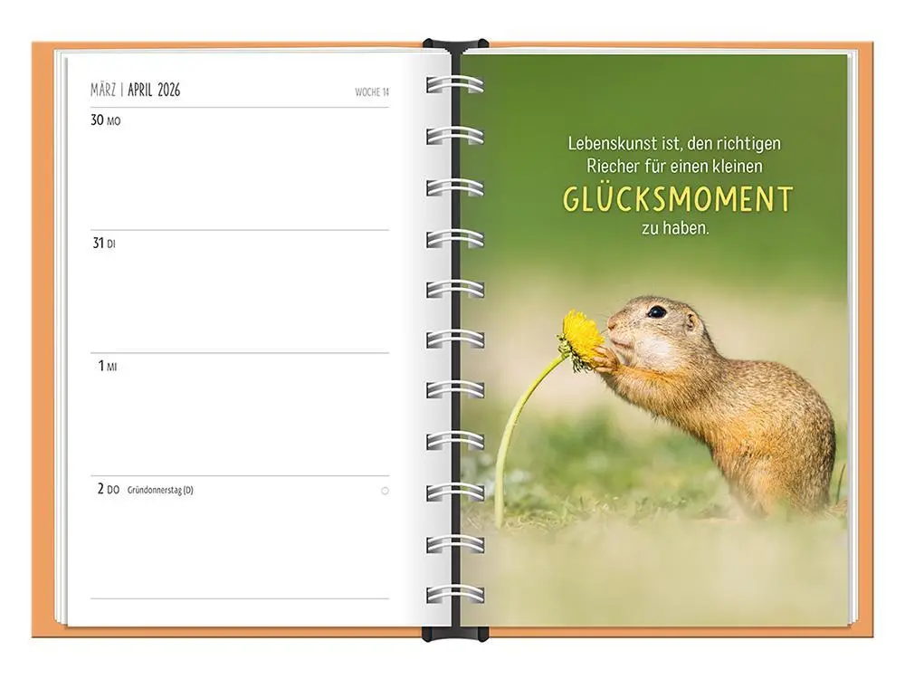 Bild: 9783986361501 | Terminplaner 2026 Happymacher | Terminplaner Hardcover | Original