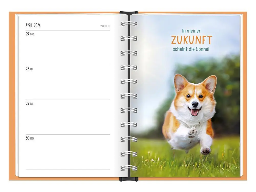 Bild: 9783986361501 | Terminplaner 2026 Happymacher | Terminplaner Hardcover | Original