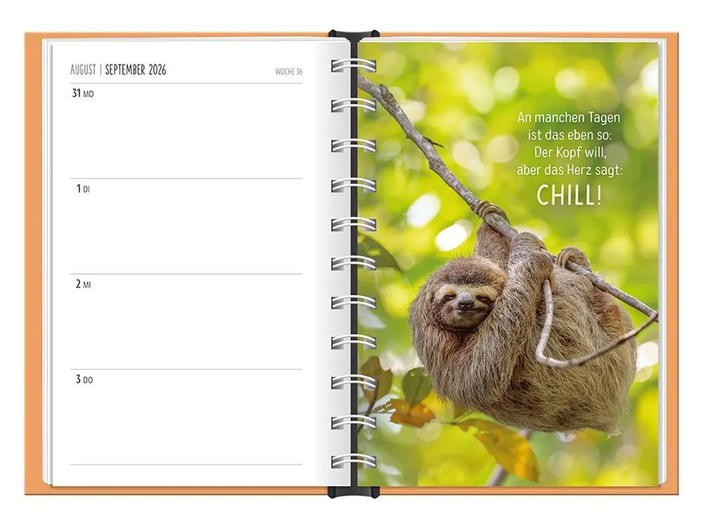 Bild: 9783986361501 | Terminplaner 2026 Happymacher | Terminplaner Hardcover | Original