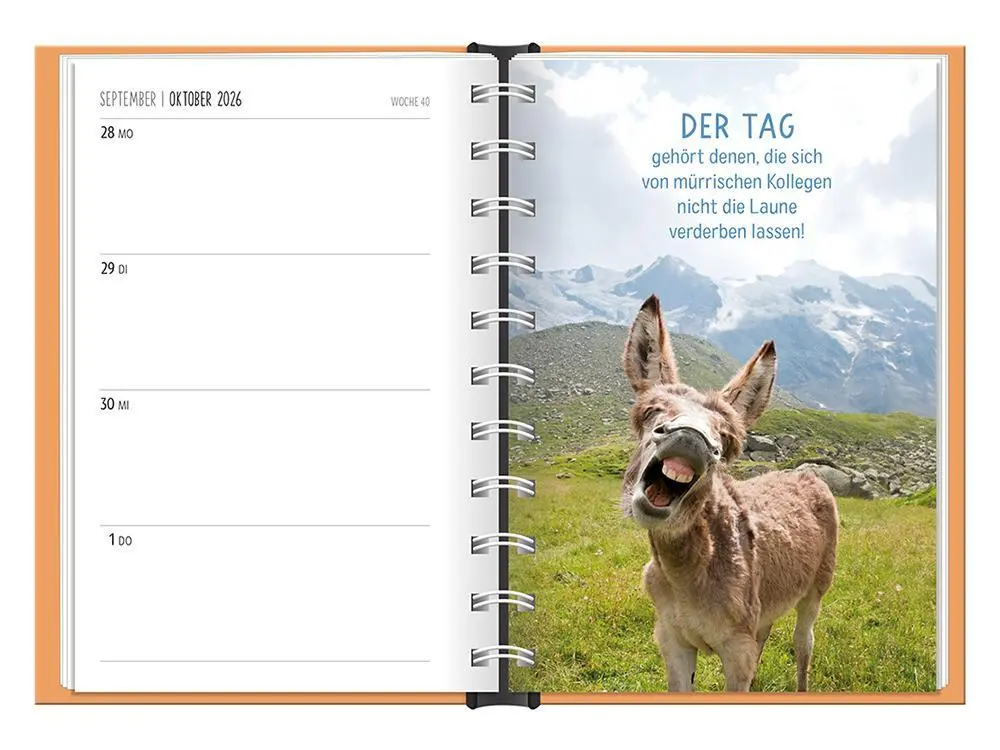 Bild: 9783986361501 | Terminplaner 2026 Happymacher | Terminplaner Hardcover | Original
