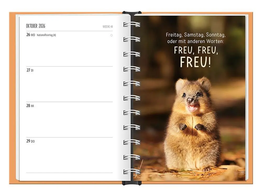 Bild: 9783986361501 | Terminplaner 2026 Happymacher | Terminplaner Hardcover | Original