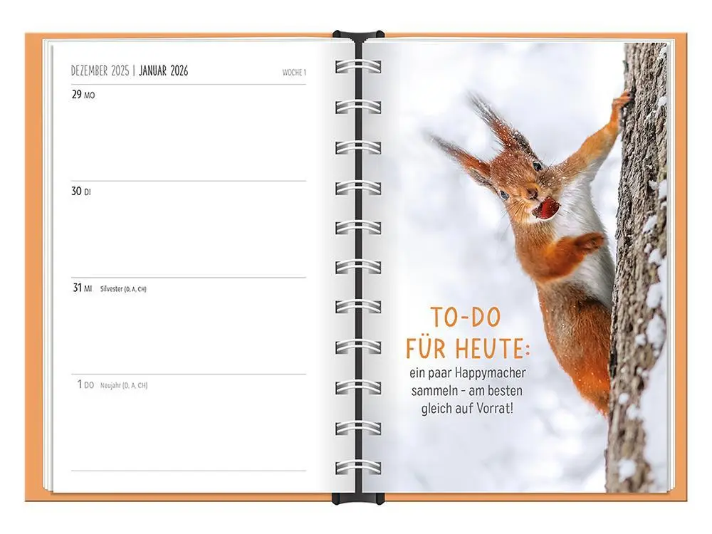 Bild: 9783986361501 | Terminplaner 2026 Happymacher | Terminplaner Hardcover | Original