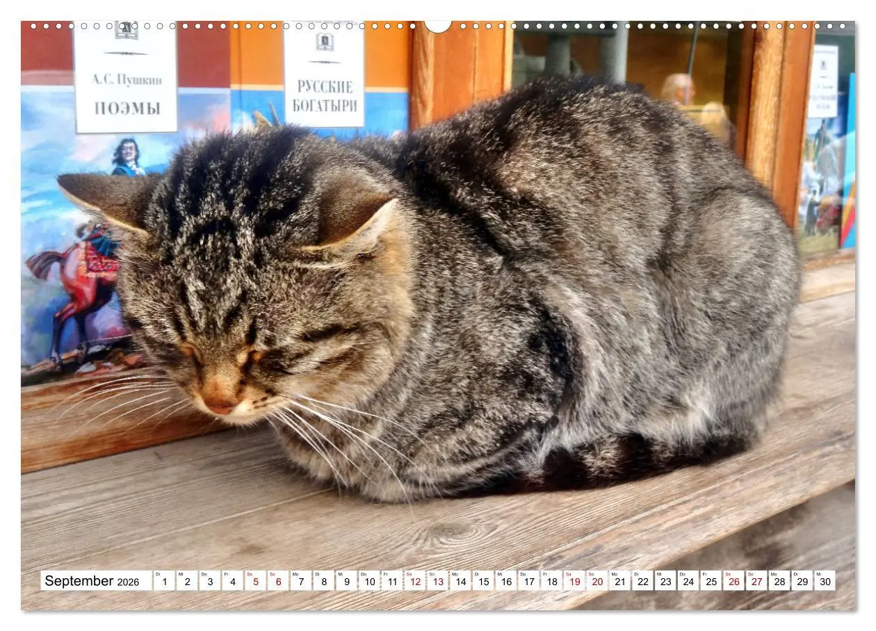 Bild: 9783457451601 | Auf Samtpfoten in Russland - Museums-Katzen auf russischen...