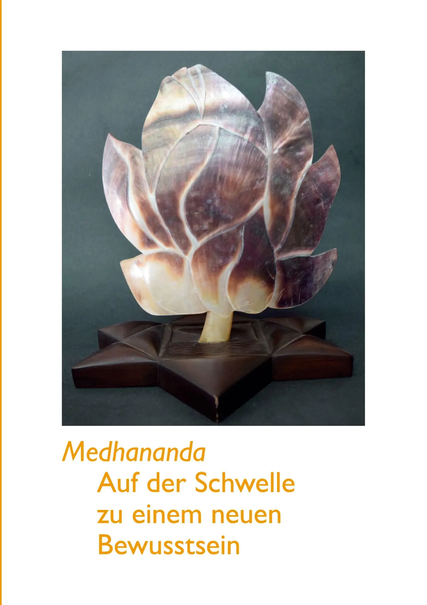 Cover: 9783769301601 | Auf der Schwelle zu einem neuen Bewusstsein | Sri Medhananda | Buch