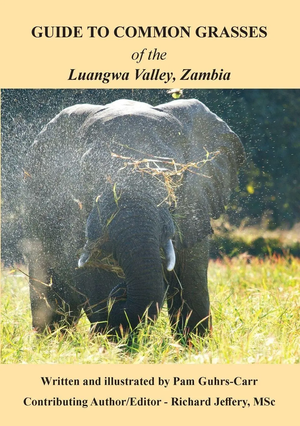 Cover: 9789982241601 | Guide to Common Grasses of the Luangwa Valley, Zambia | Taschenbuch