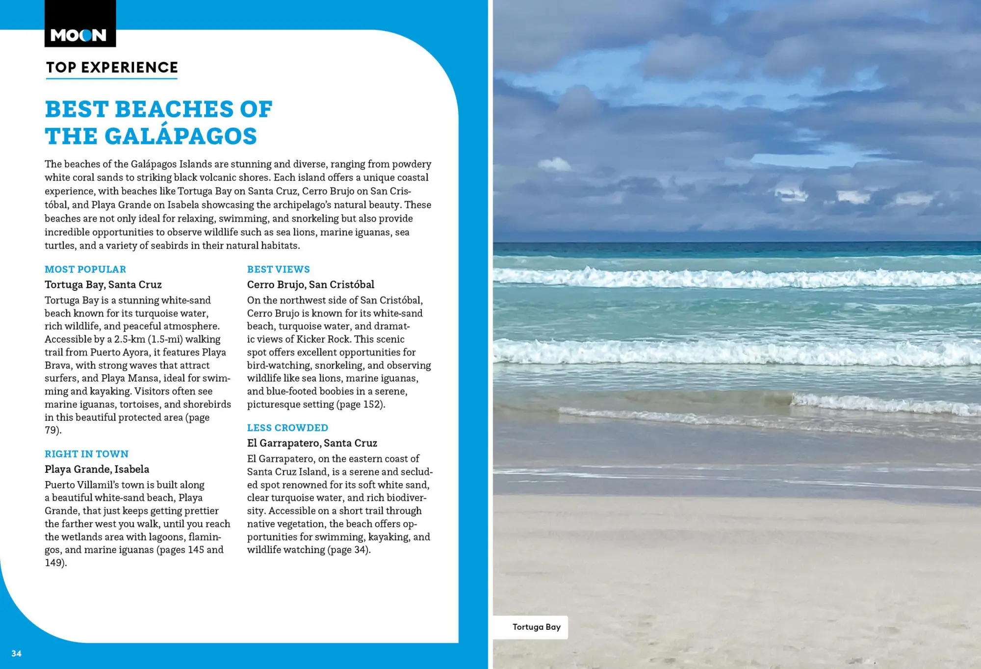 Bild: 9798886471601 | Moon Galapagos Islands (Fifth Edition) | Lisa Cho Burns | Taschenbuch