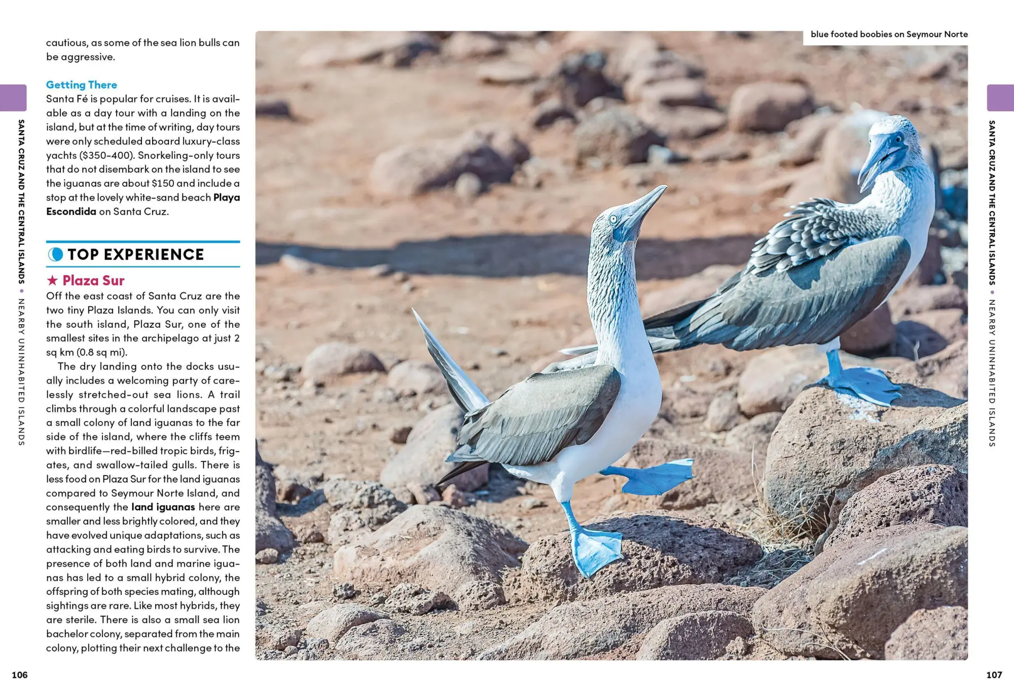 Bild: 9798886471601 | Moon Galapagos Islands (Fifth Edition) | Lisa Cho Burns | Taschenbuch