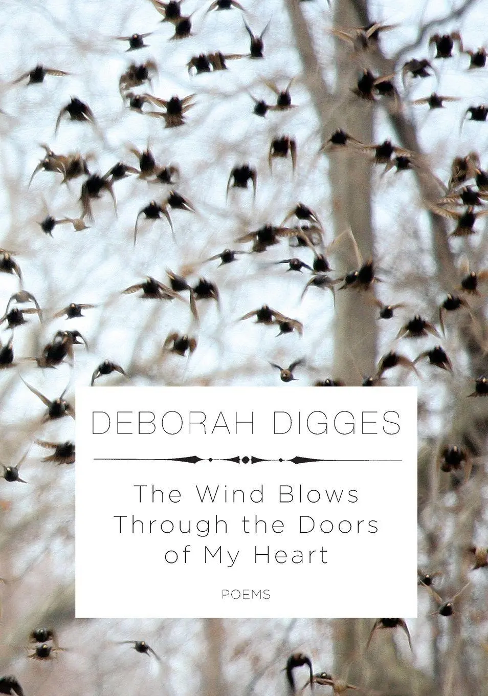 Cover: 9780375711701 | The Wind Blows Through the Doors of My Heart | Poems | Deborah Digges