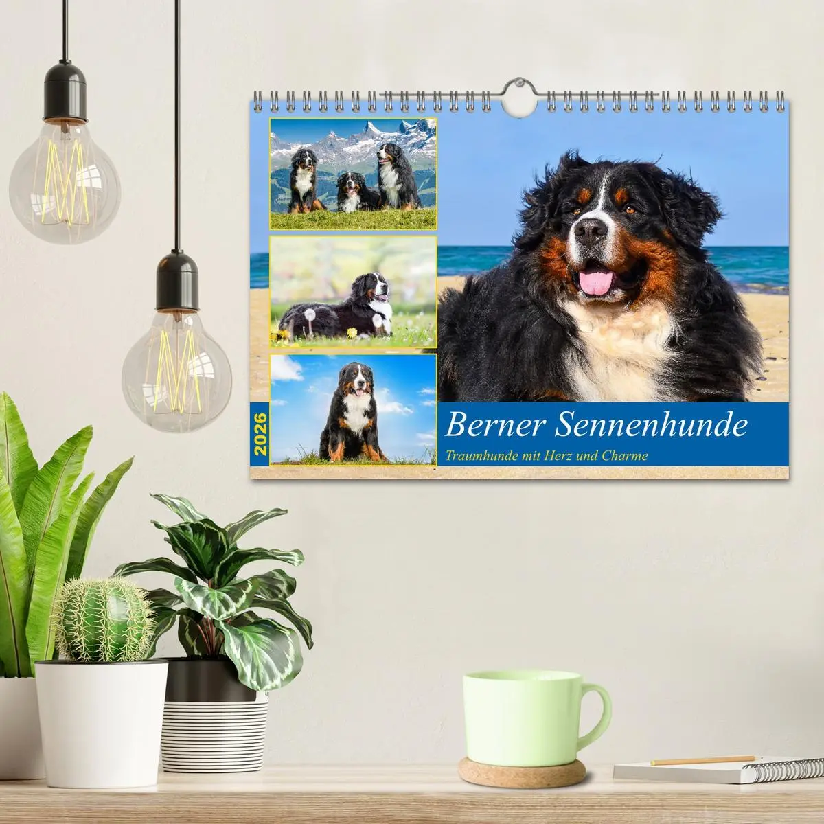 Bild: 9783457371701 | Berner Sennenhunde - Traumhunde mit Charme (Wandkalender 2026 DIN...