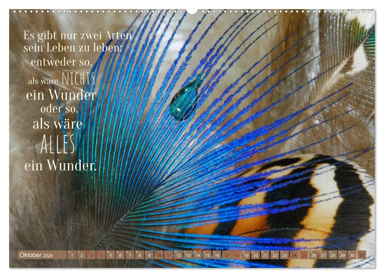 Bild: 9783457751701 | Jeder ist ein Genie! Zitate von Albert Einstein (Wandkalender 2026...