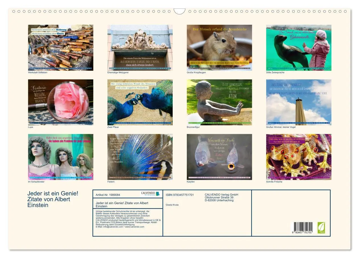 Bild: 9783457751701 | Jeder ist ein Genie! Zitate von Albert Einstein (Wandkalender 2026...