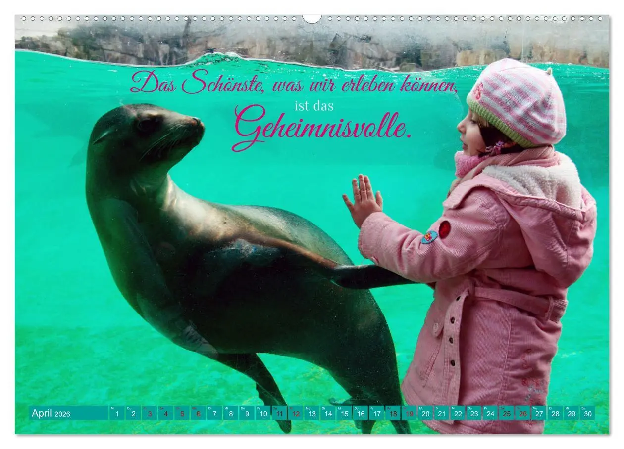 Bild: 9783457751701 | Jeder ist ein Genie! Zitate von Albert Einstein (Wandkalender 2026...