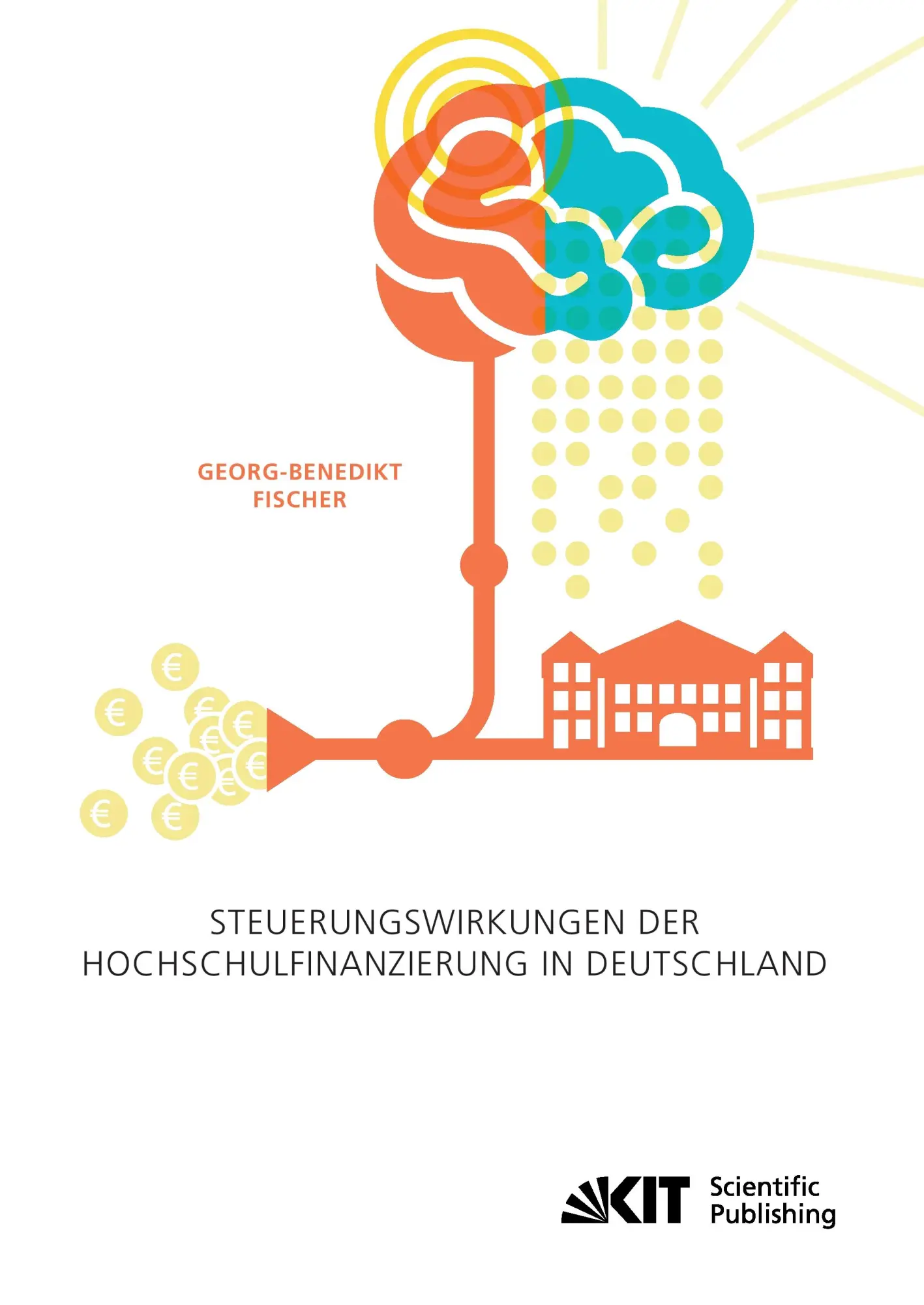 Steuerungswirkungen der Hochschulfinanzierung in Deutschland - Georg-Benedikt Fischer Kartoniert (TB)