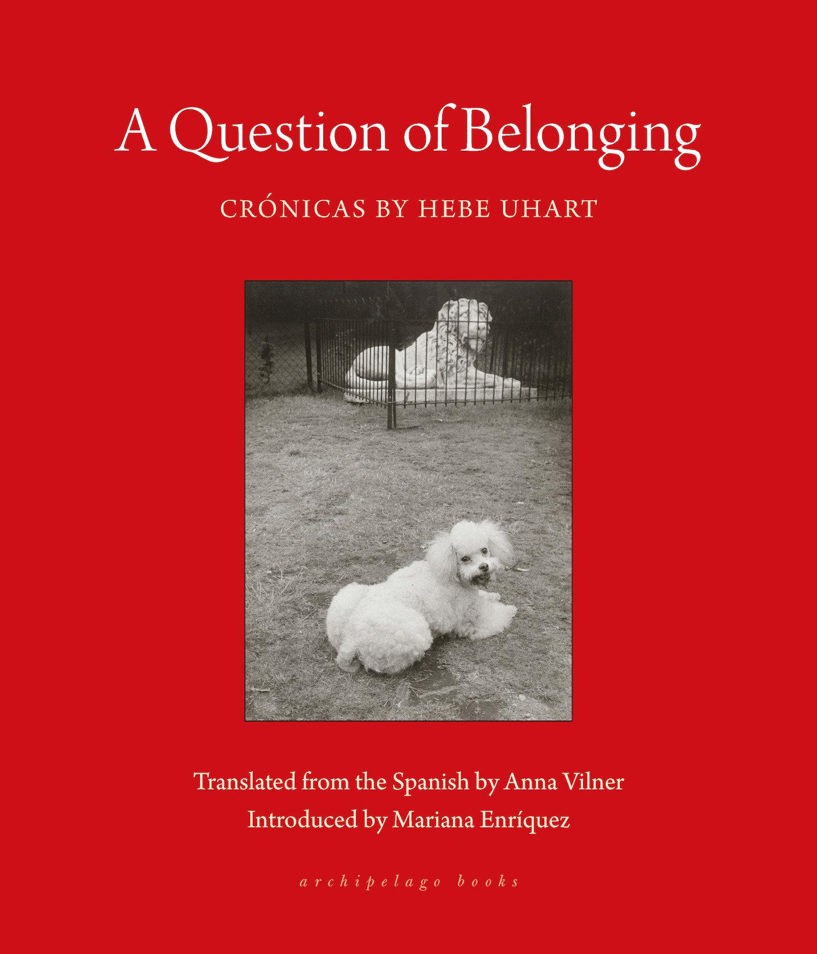 Cover: 9781953861801 | A Question of Belonging | Crónicas | Hebe Uhart | Taschenbuch | 2024