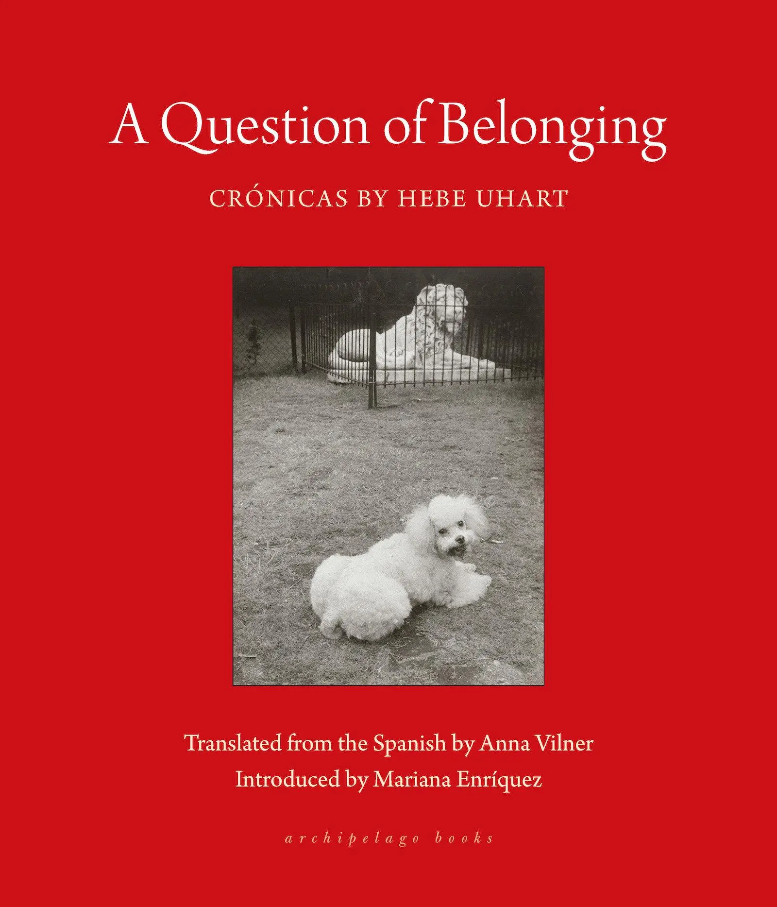 Cover: 9781953861801 | A Question of Belonging | Crónicas | Hebe Uhart | Taschenbuch | 2024