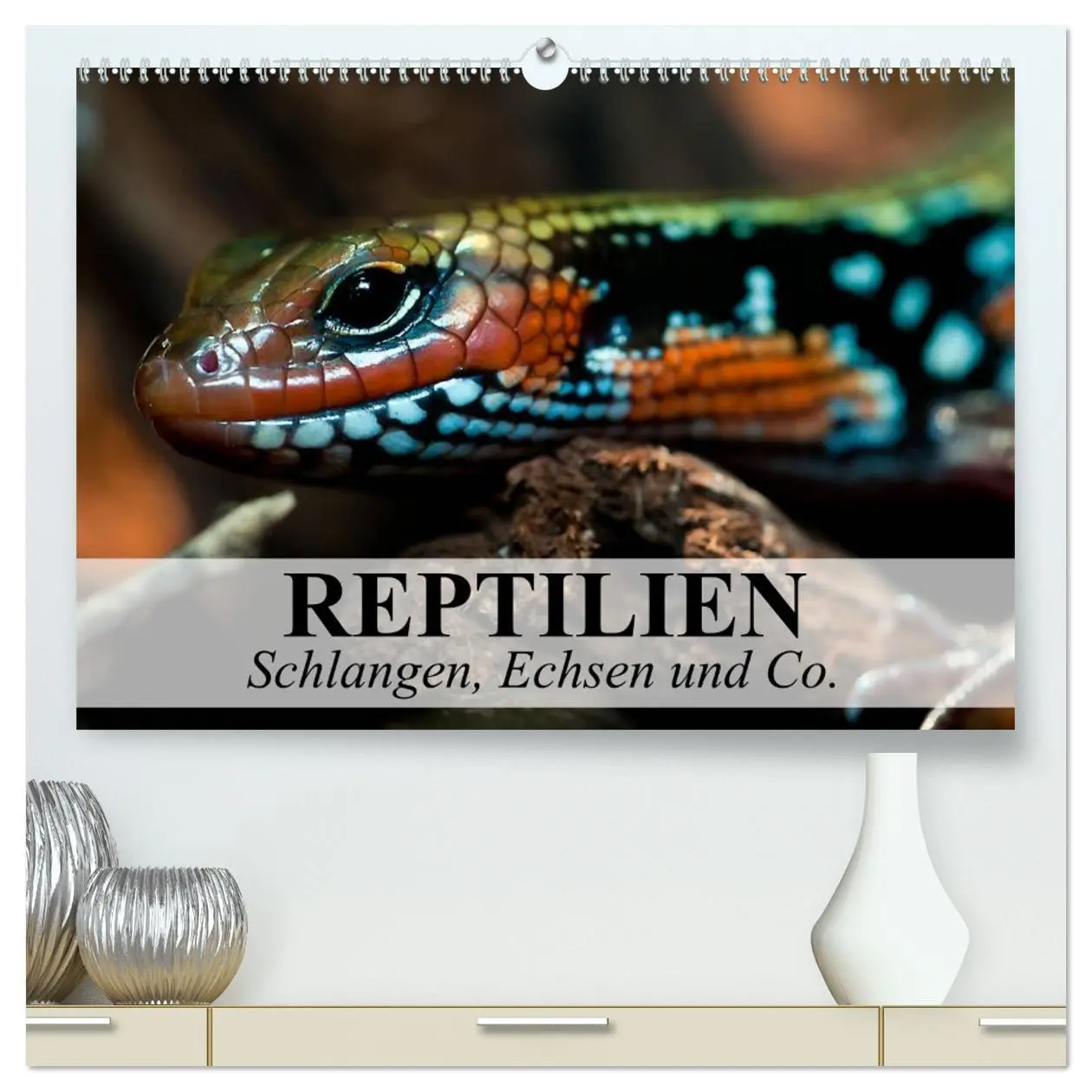 Cover: 9783516071801 | Reptilien Schlangen, Echsen und Co. (hochwertiger Premium...