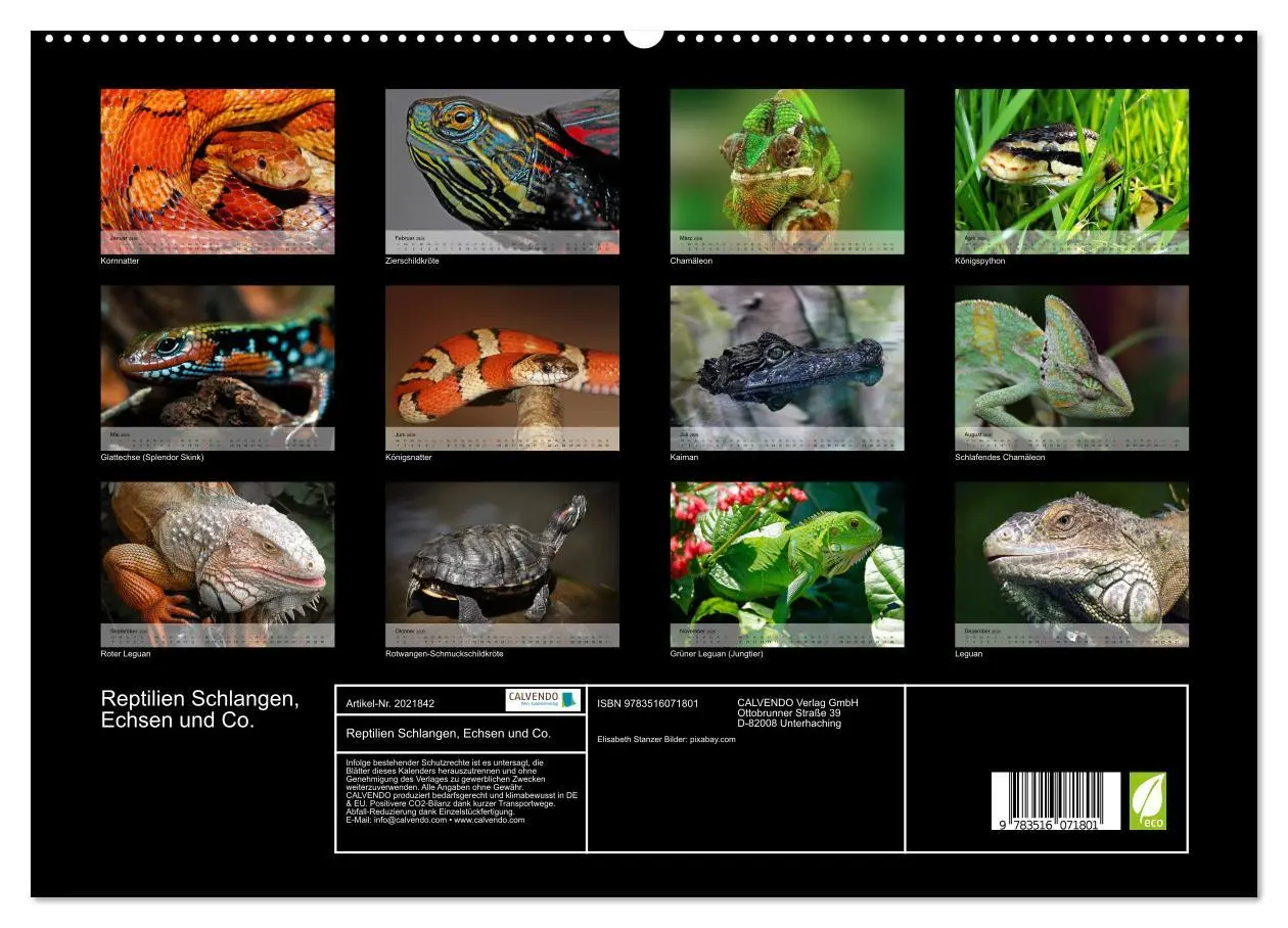 Bild: 9783516071801 | Reptilien Schlangen, Echsen und Co. (hochwertiger Premium...