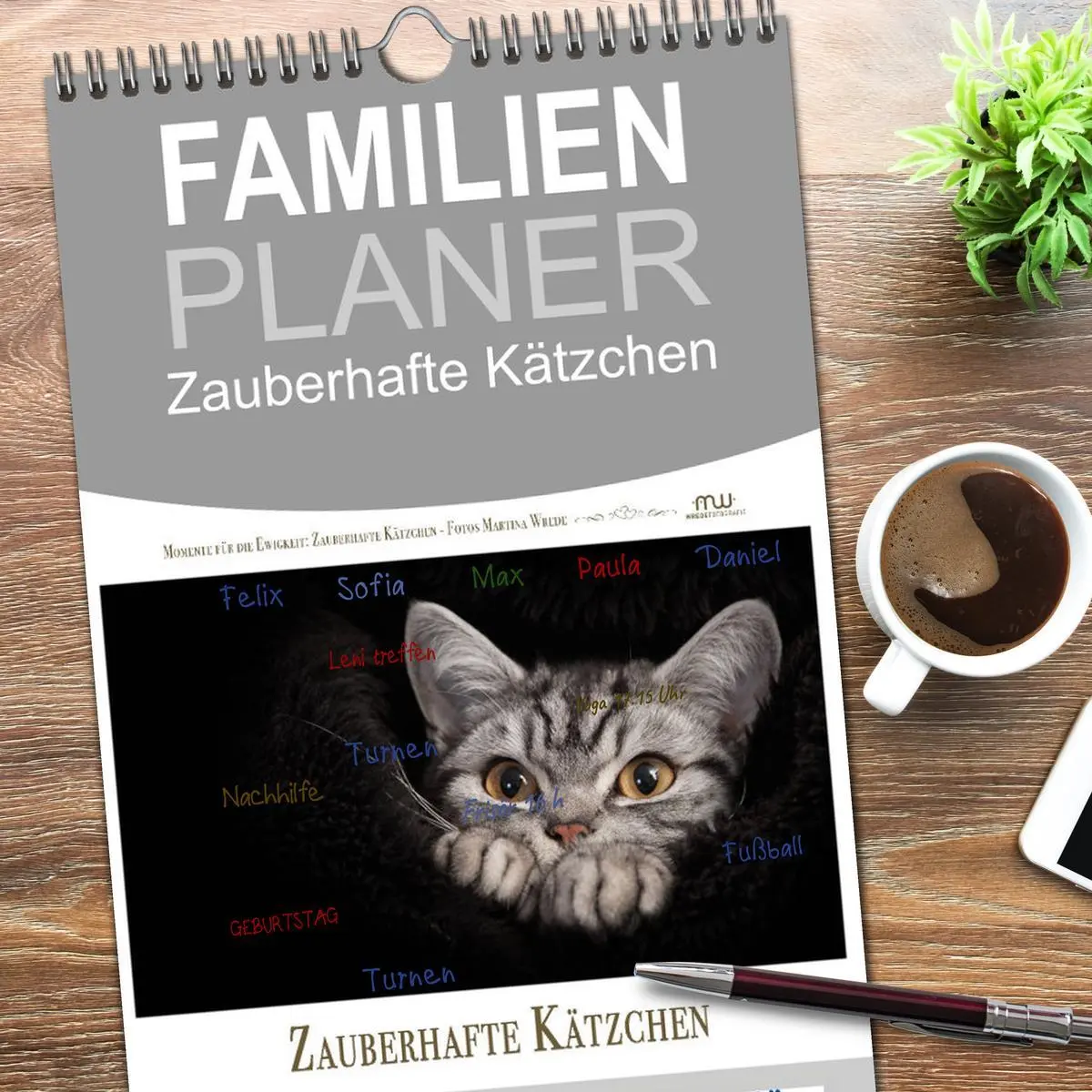Bild: 9783516521801 | Familienplaner 2026 - Zauberhafte Kätzchen mit 5 Spalten...